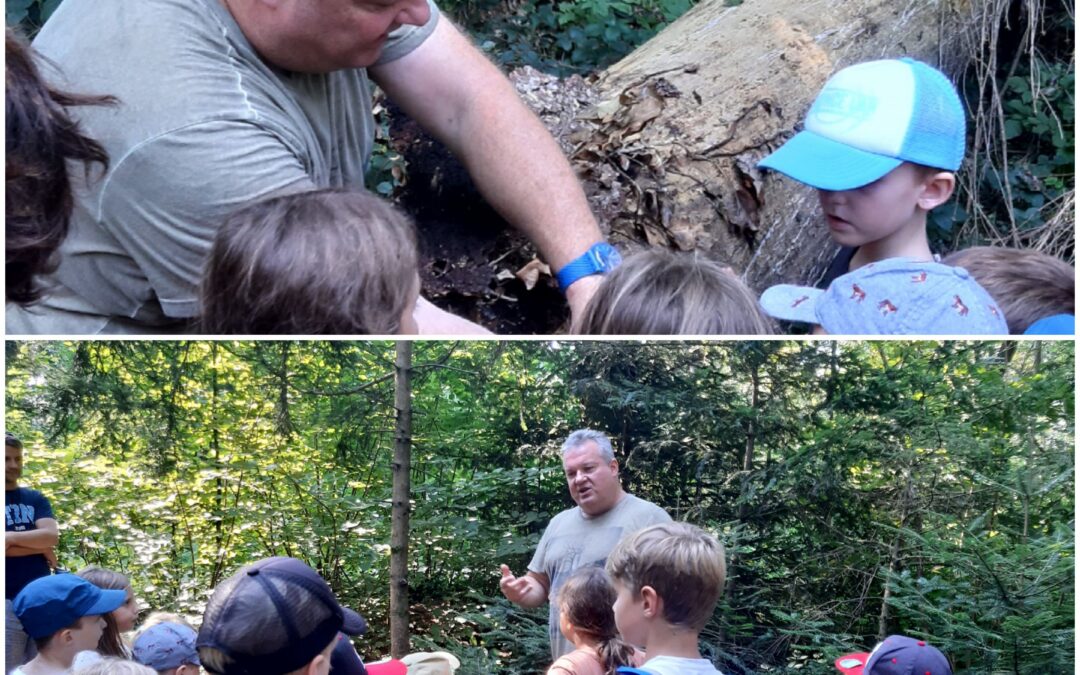Familien-Waldabenteuer mit Waldpädagoge 09.09.2023