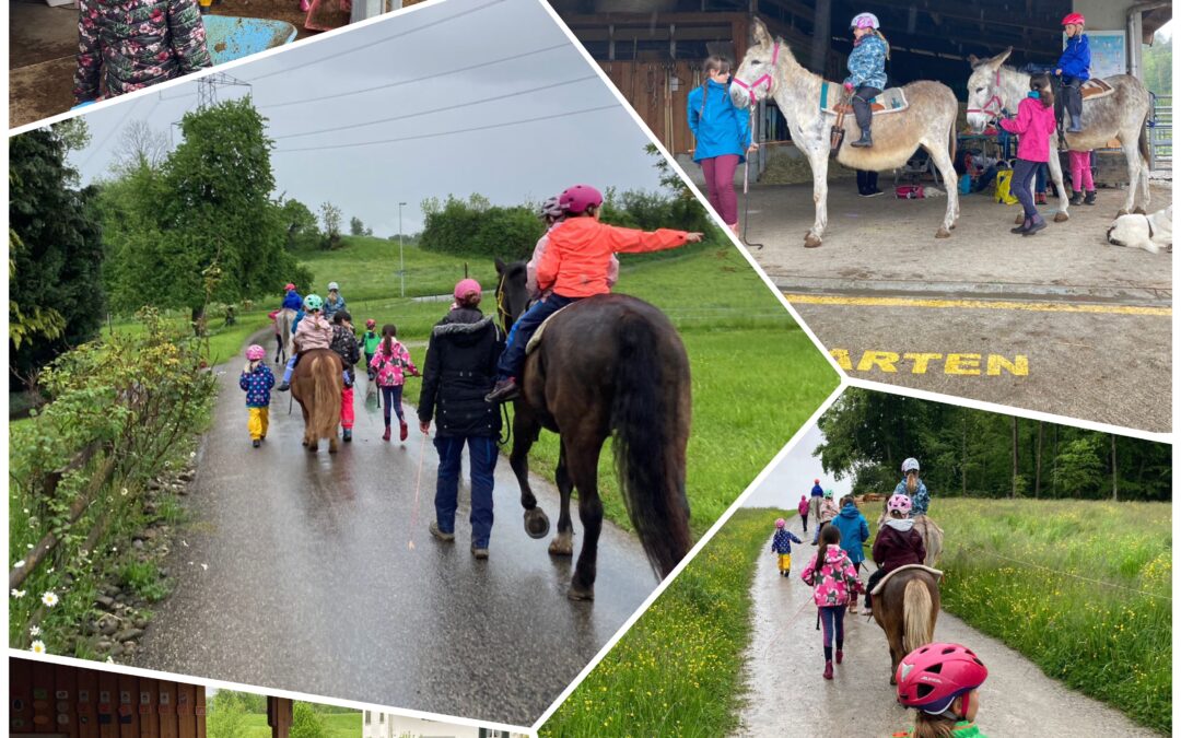 Erlebnis-Ponyreiten 10.05.2023